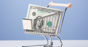 Budgeting for Bargains: How to Stretch Your Shopping Dollar